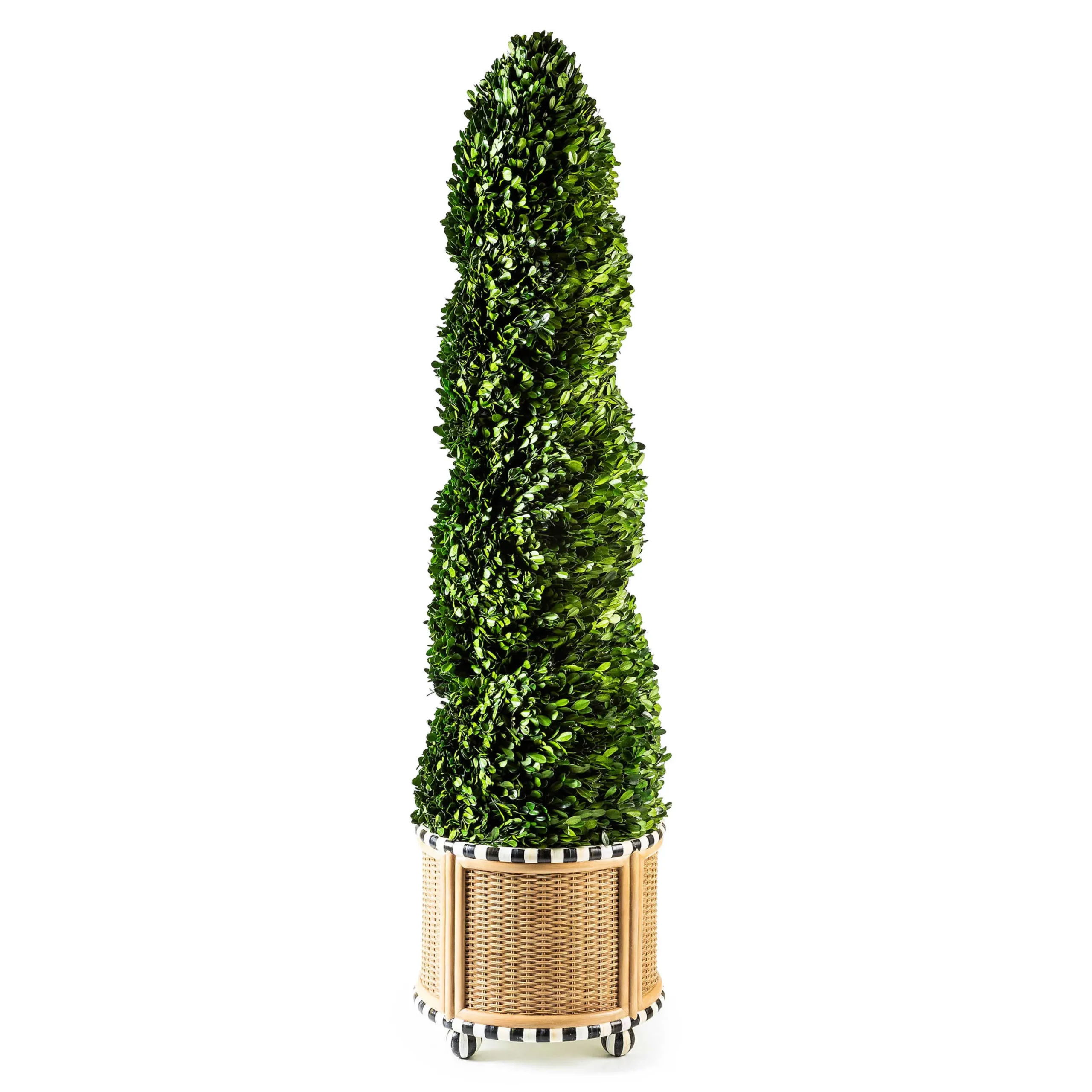 MacKenzie-Childs Basket Weave Spiral Large Boxwood Topiary| Spring|Greenery & Florals