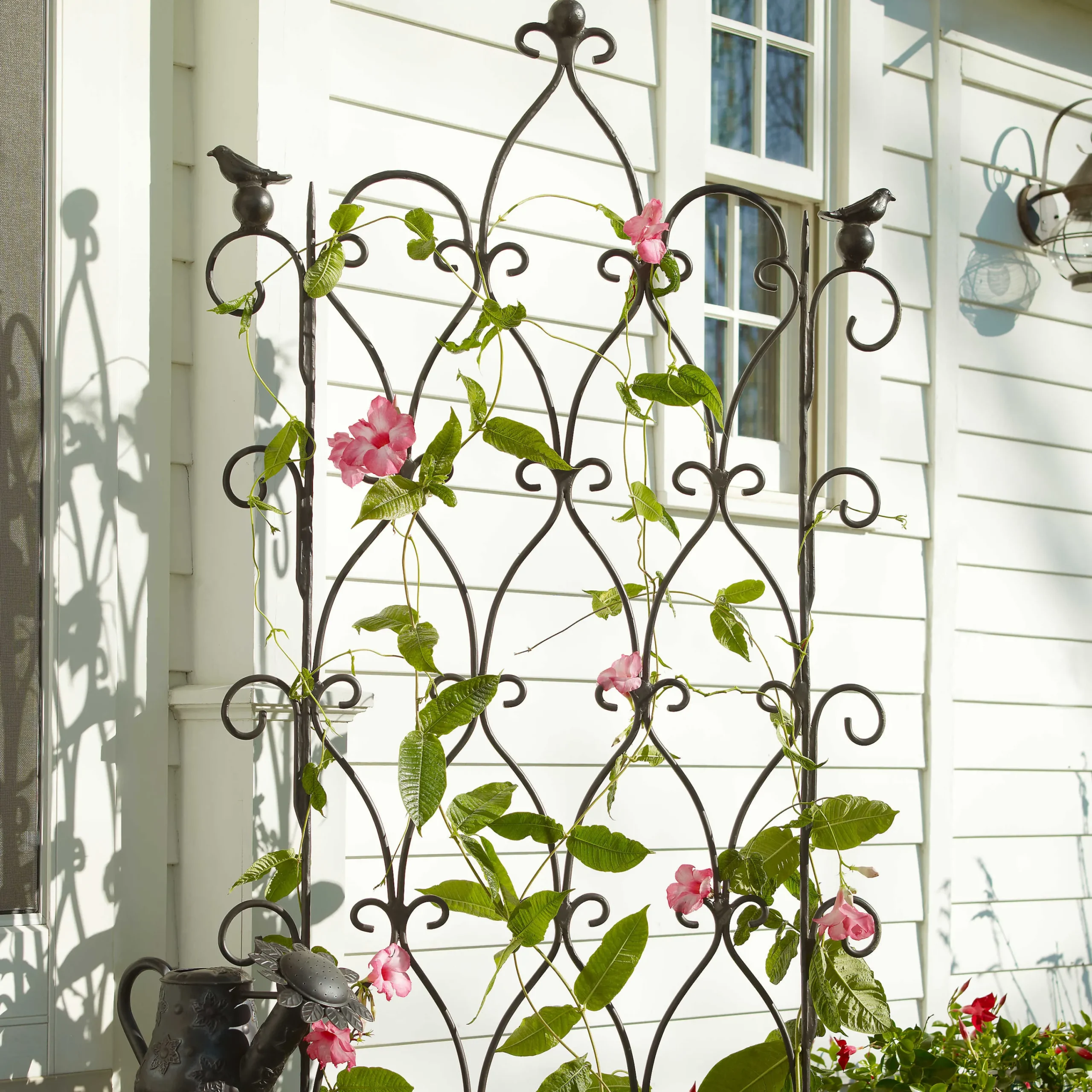 MacKenzie-Childs Bird on Ball Trellis| Spring|Outdoor