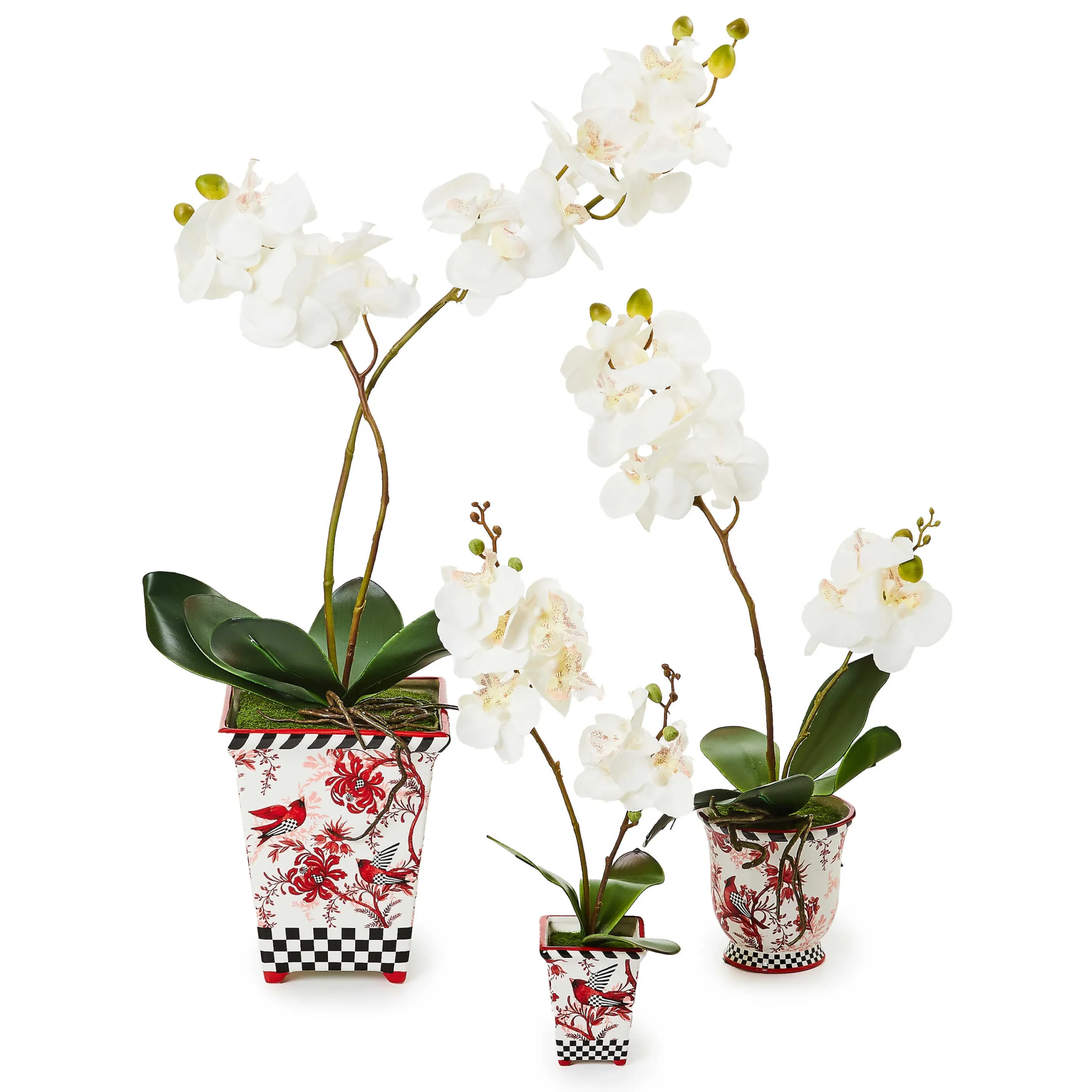 MacKenzie-Childs Cardinal Toile Small Orchid| Holiday|Greenery & Florals