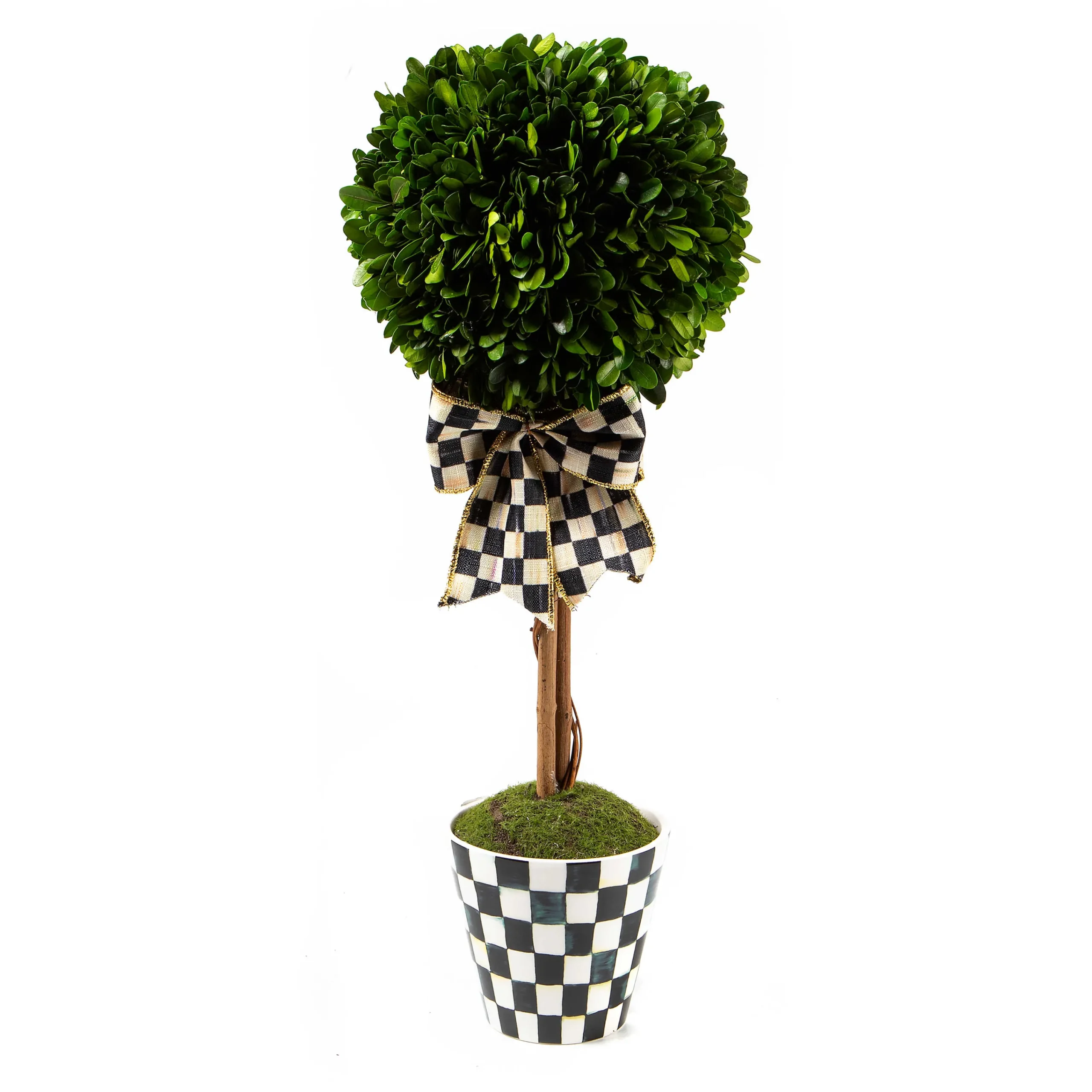 MacKenzie-Childs Courtly Boxwood Topiary Small Drop In| Spring|Greenery & Florals