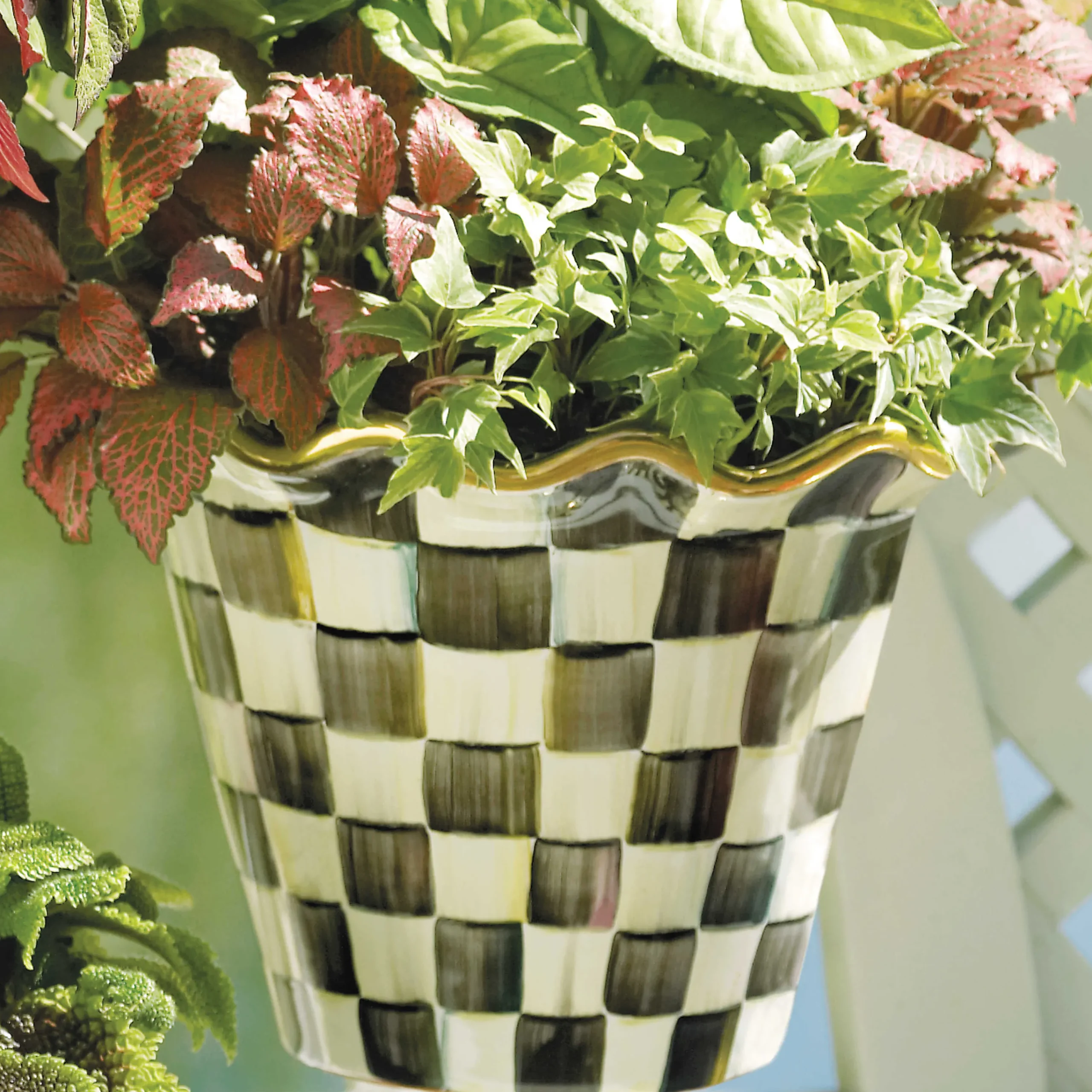 MacKenzie-Childs Courtly Check 8 Ceramic Garden Pot| Spring|The Fall Shop
