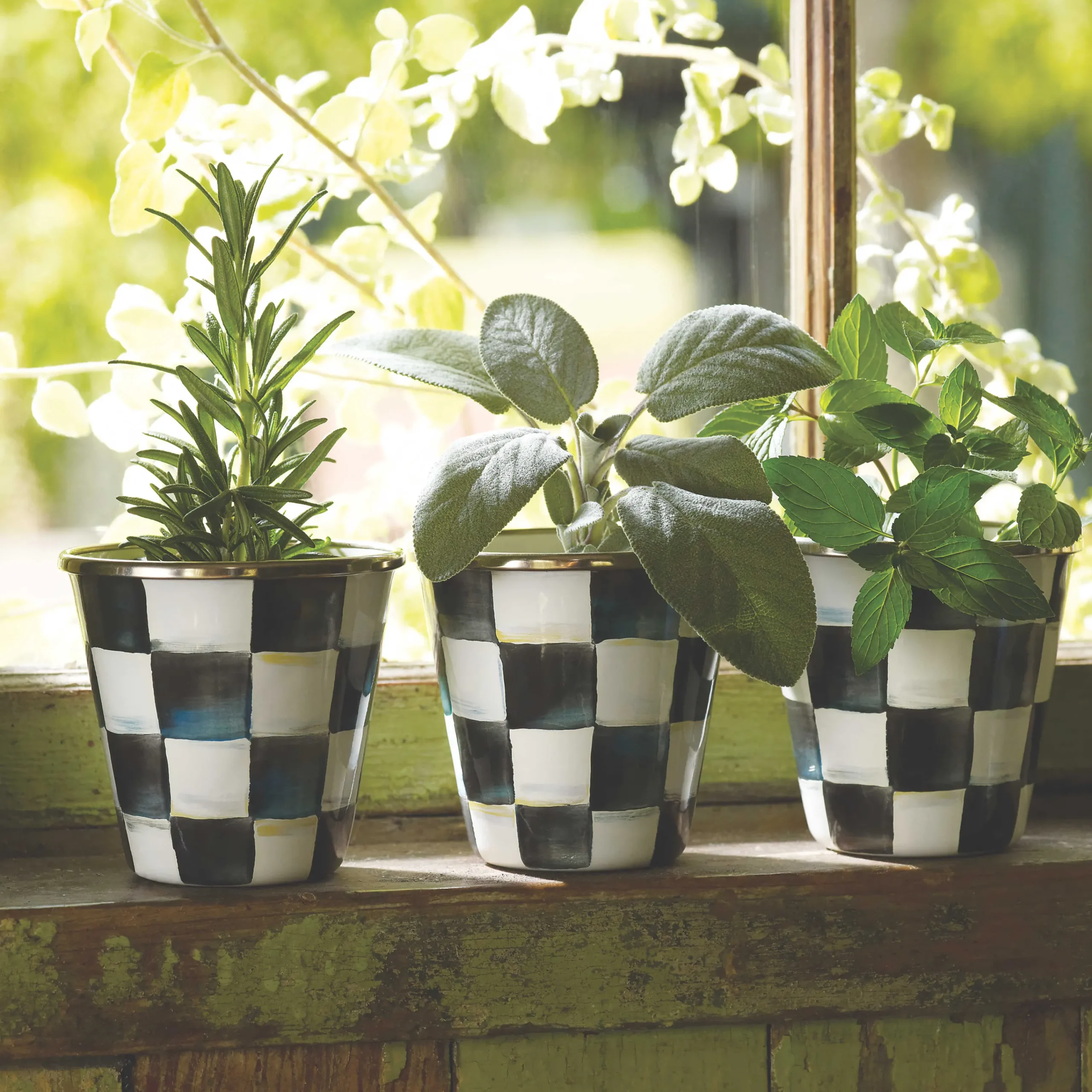 MacKenzie-Childs Courtly Check Herb Pots, Set of 3| Spring|The Fall Shop