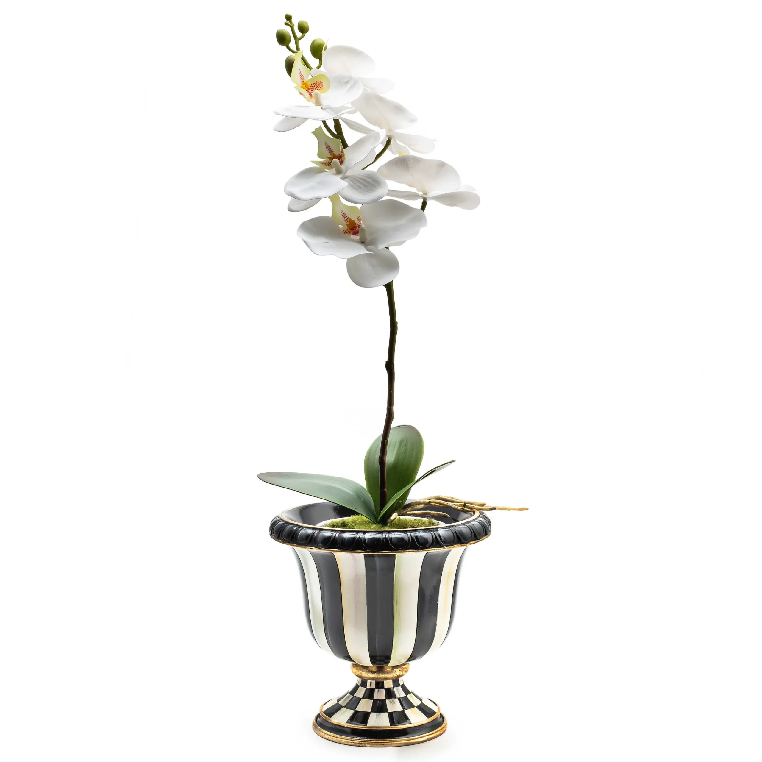 MacKenzie-Childs Courtly Check Orchid Drop In| Greenery & Florals