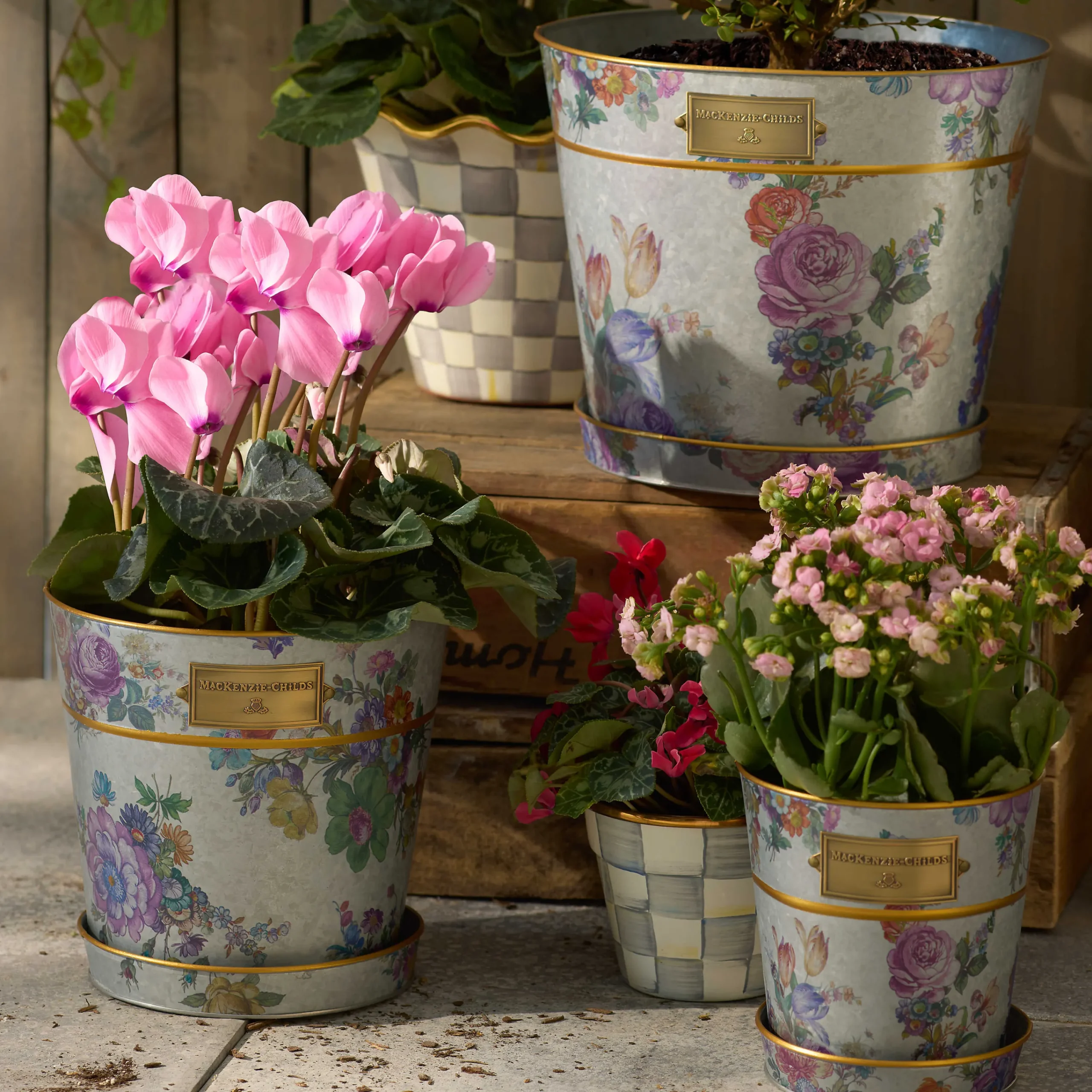 MacKenzie-Childs Flower Market Pots Saucers, Set of 3| Spring|Greenery & Florals