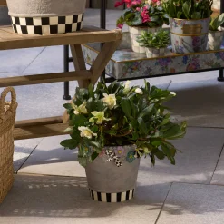 MacKenzie-Childs Maia Small Pot| Spring|Greenery & Florals