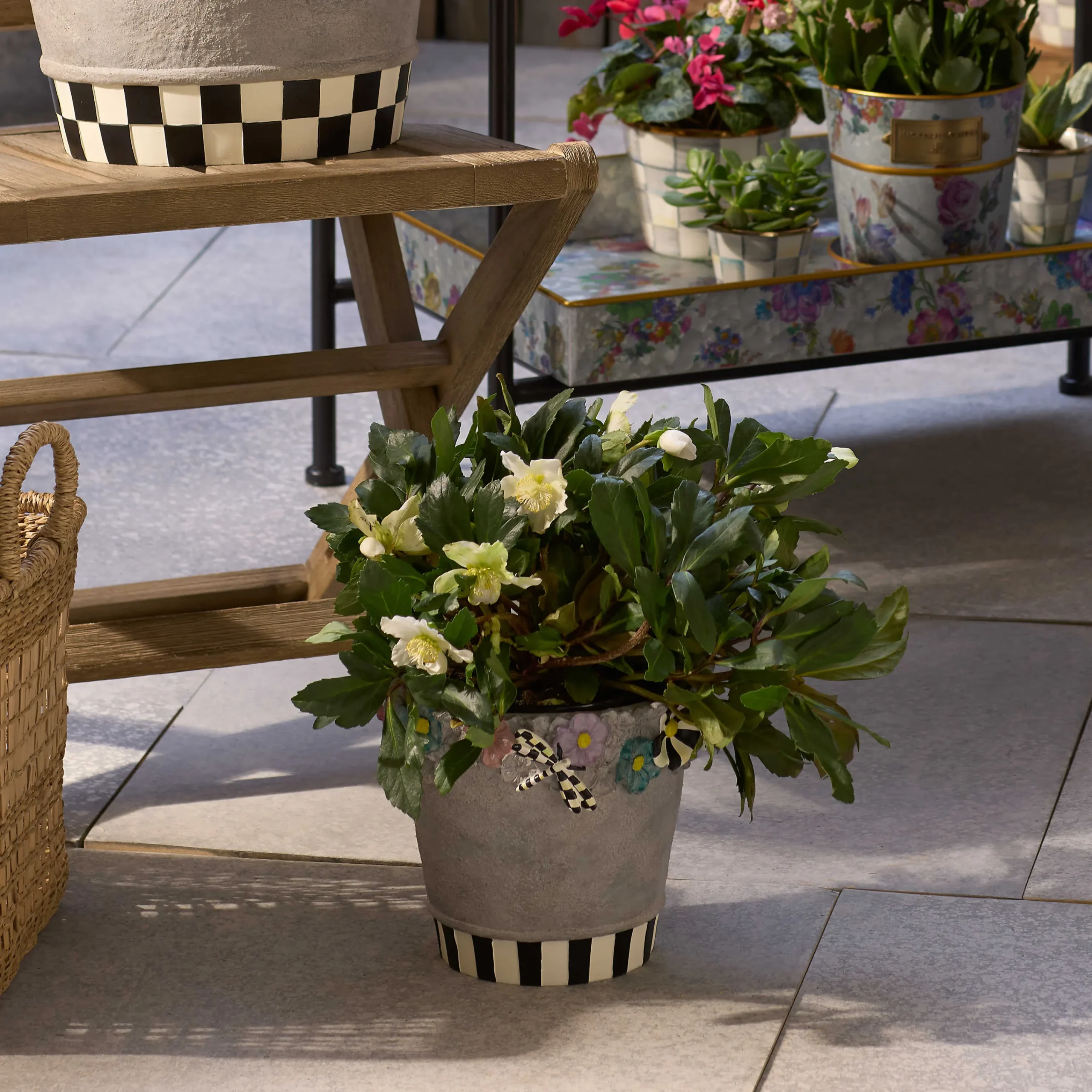 MacKenzie-Childs Maia Small Pot| Spring|Greenery & Florals