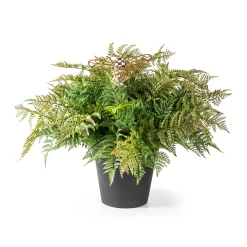 MacKenzie-Childs Potted Large Fern With Bee| Spring|Greenery & Florals