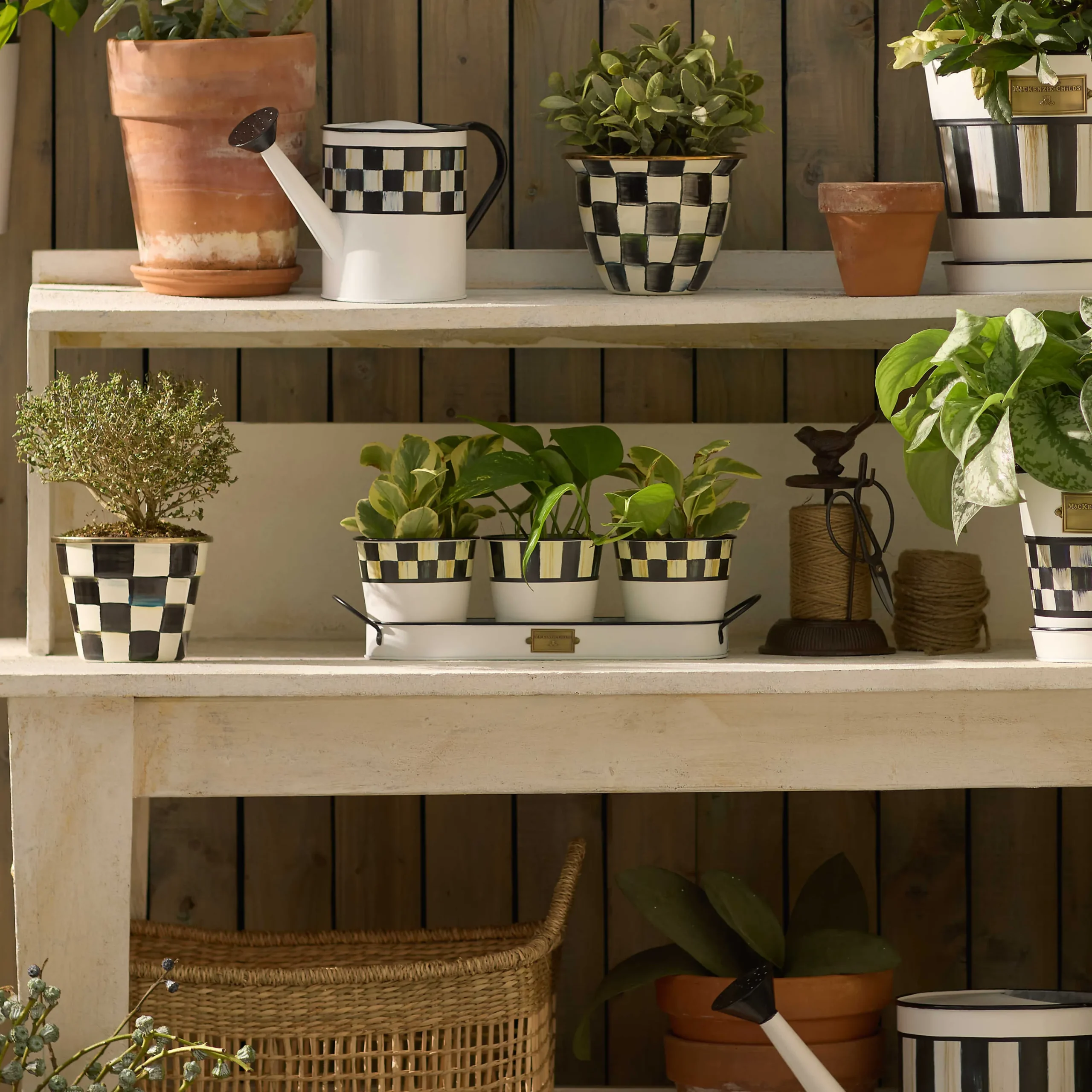 MacKenzie-Childs Spectator Galvanized Herb Pots, Set of 3| Spring|The Fall Shop